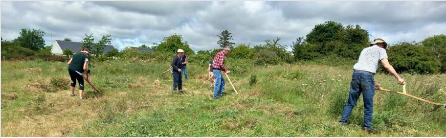 Four people in a field use scythes to cut tall grass under a partly cloudy sky, surrounded by greenery.